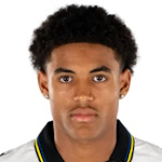 साशा ब्रिट्शगी